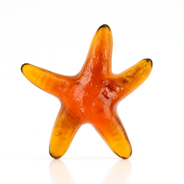 Flat Starfish