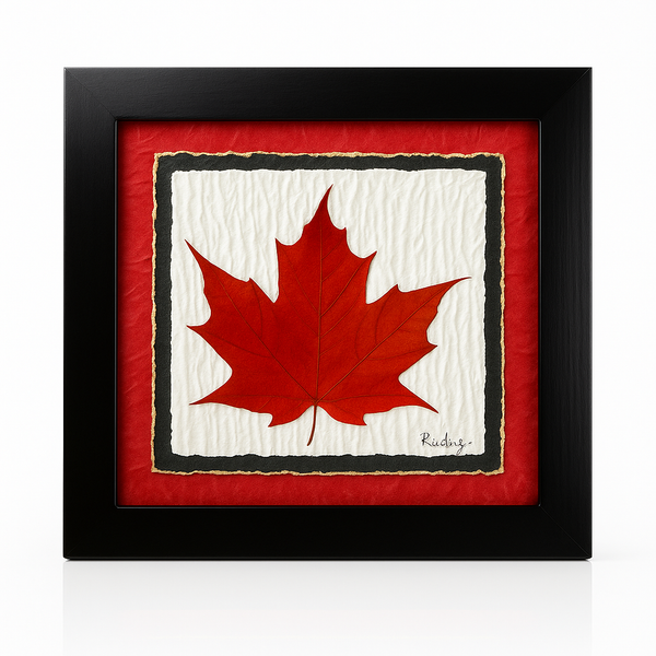 Single Maple Leaf