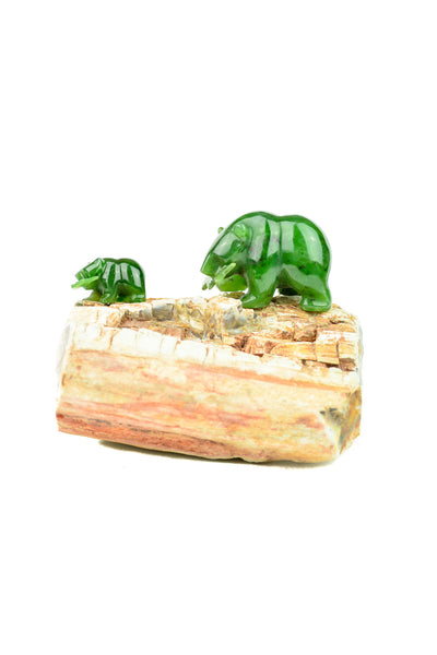 Double Bear on Petrified Wood