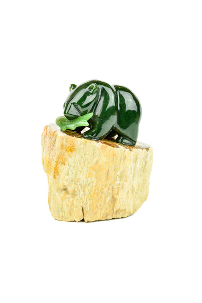 Bear on Petrified Wood