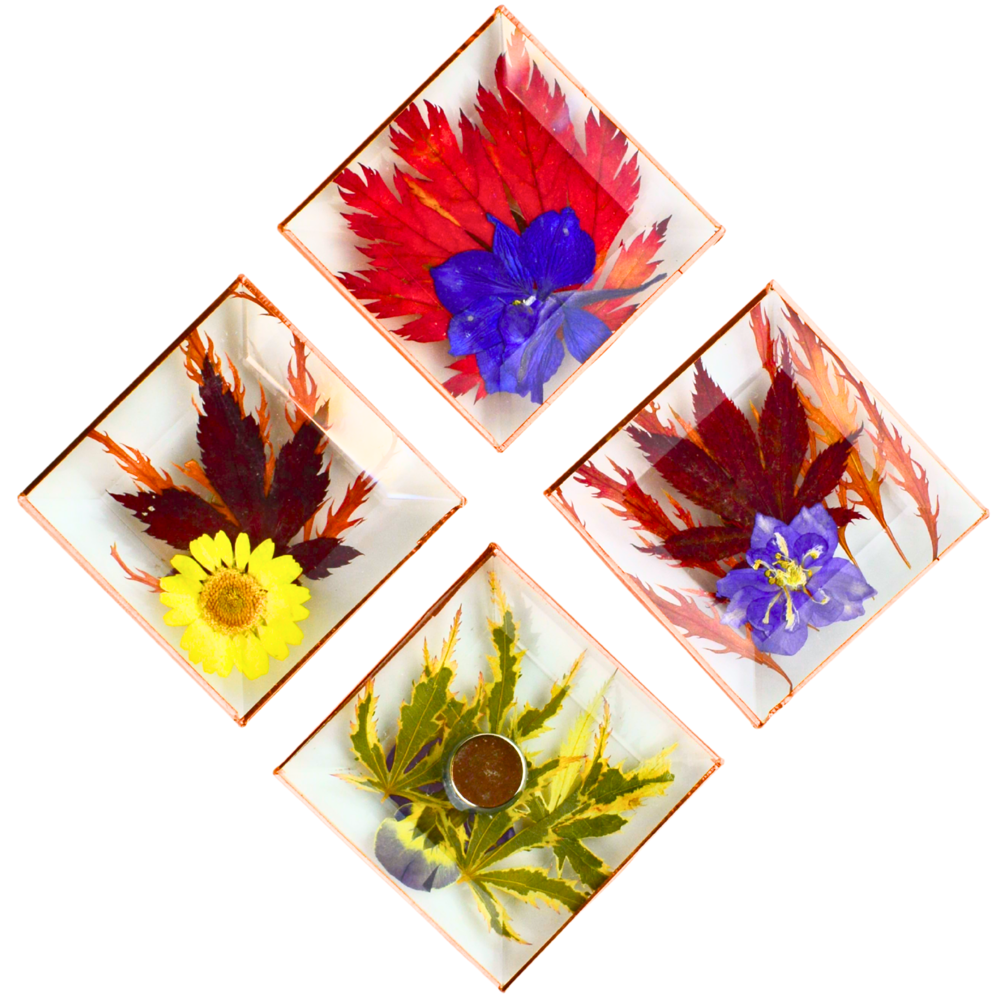Flower Magnet