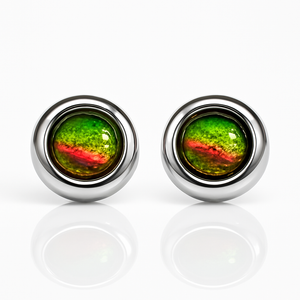 Ammolite Sterling Silver Earrings