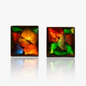 Ammolite Stud Earrings