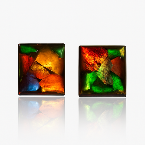 Ammolite Stud Earrings
