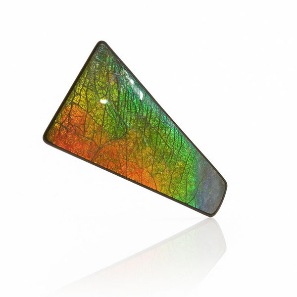 Ammolite Hand Sample