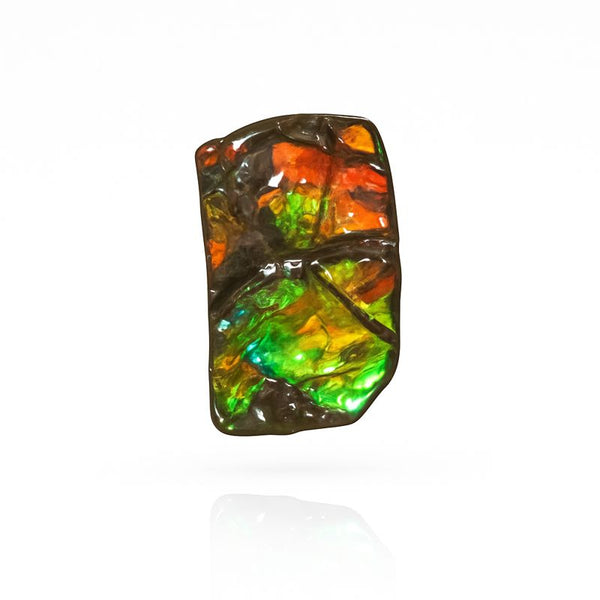 Ammolite Hand Sample