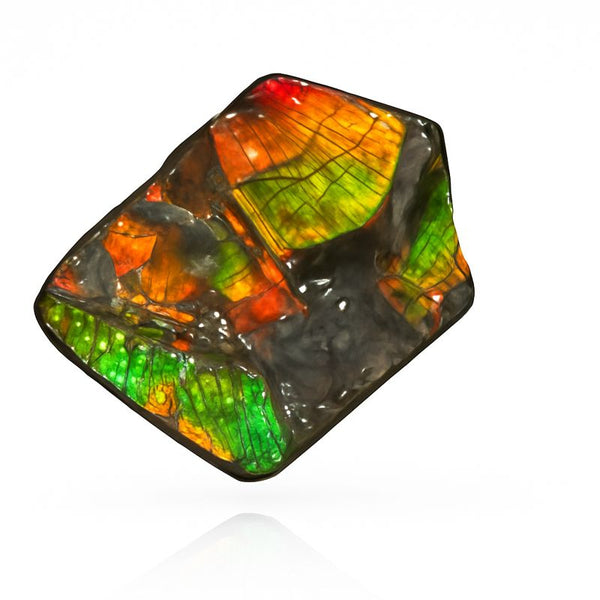 Ammolite Hand Sample