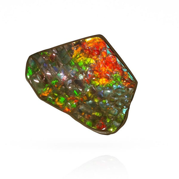 Ammolite Hand Sample