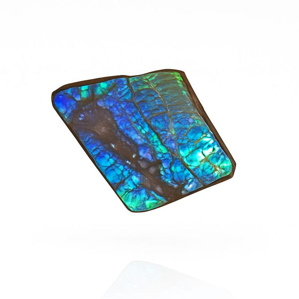 Ammolite Hand Sample