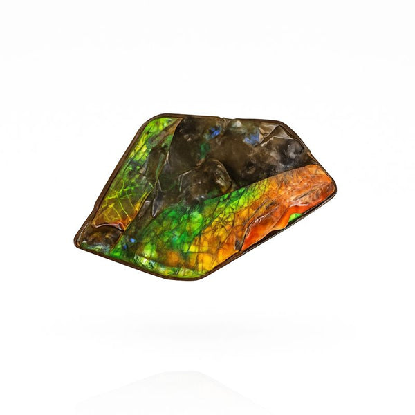 Ammolite Hand Sample