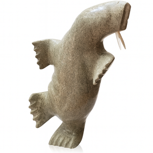 Walrus