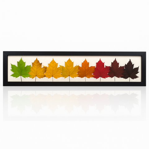 Rainbow Maple Leaf