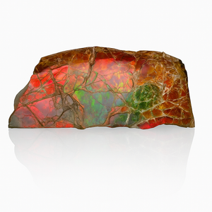 Ammolite Fragment