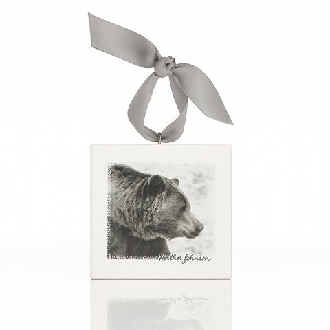 Bear Mini Canvas Ornament
