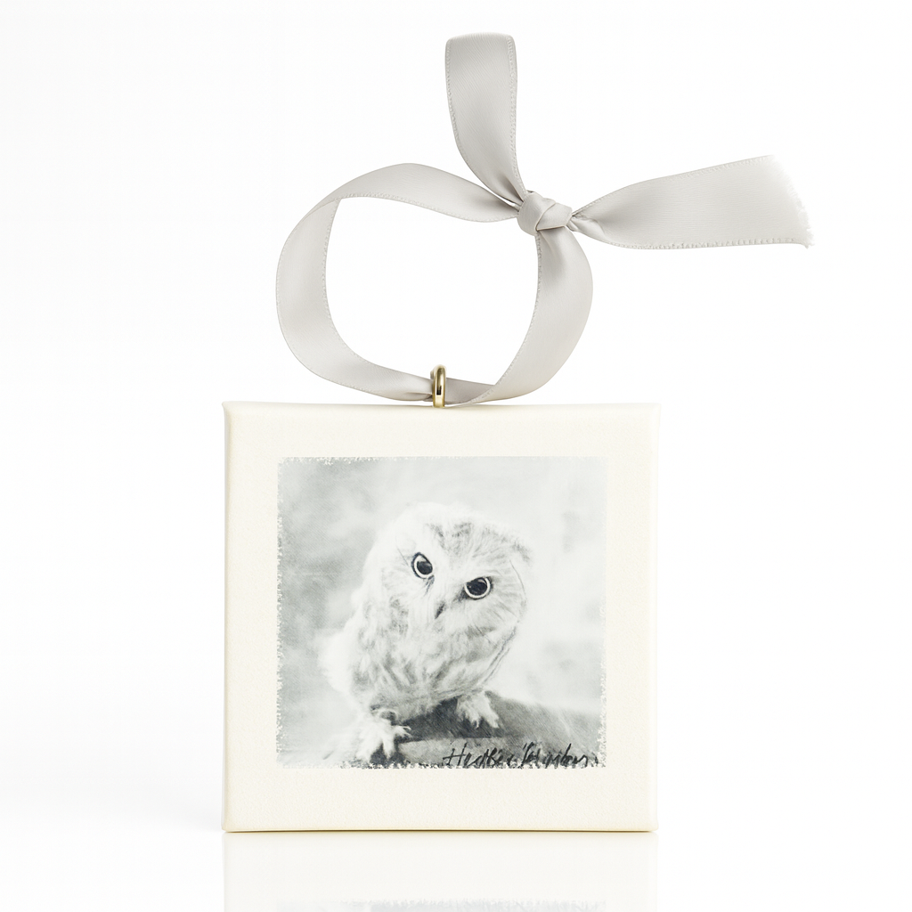 Owl Mini Canvas Ornament