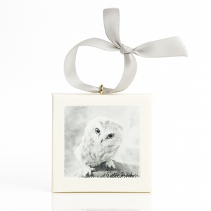 Owl Mini Canvas Ornament