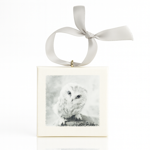 Owl Mini Canvas Ornament