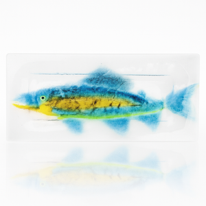Fish Serving Plate