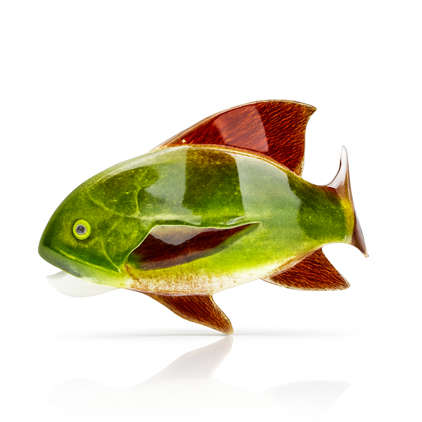 Curved Fish