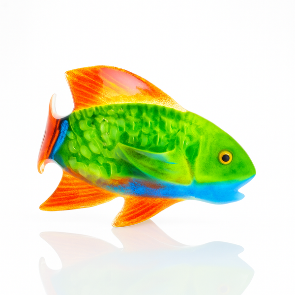 Curved Fish