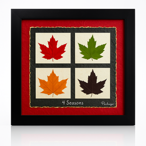 4 Seasons Maple Leaf