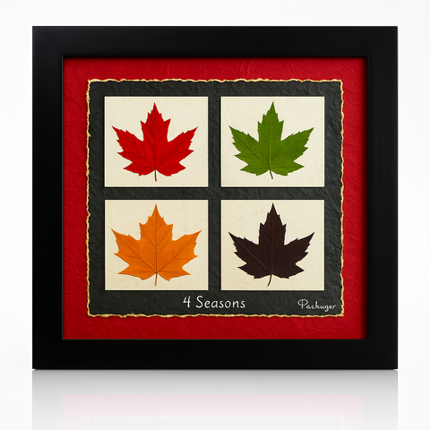4 Seasons Maple Leaf