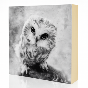 Snowy Owl Art Blocks