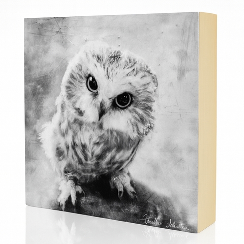 Snowy Owl Art Blocks