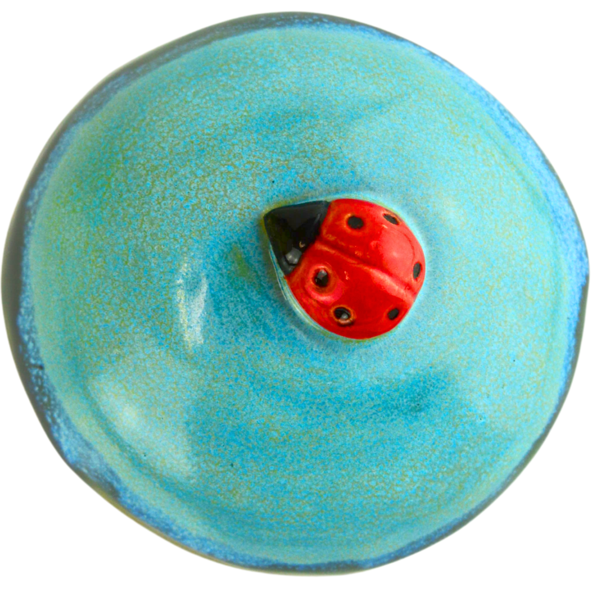 Ladybug Rattle