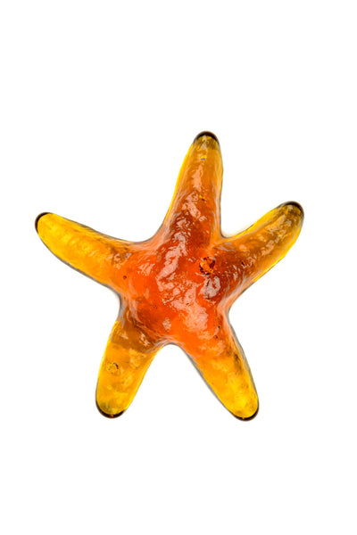 Flat Starfish