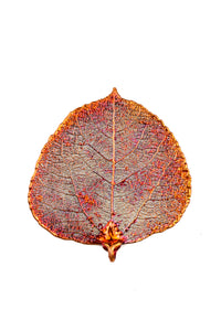 Copper Aspen Leaf