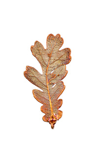 Copper Oak Leaf