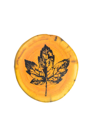 Maple Leaf Driftwood Coaster Set