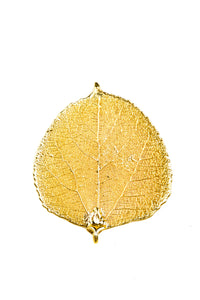Gold Aspen Leaf